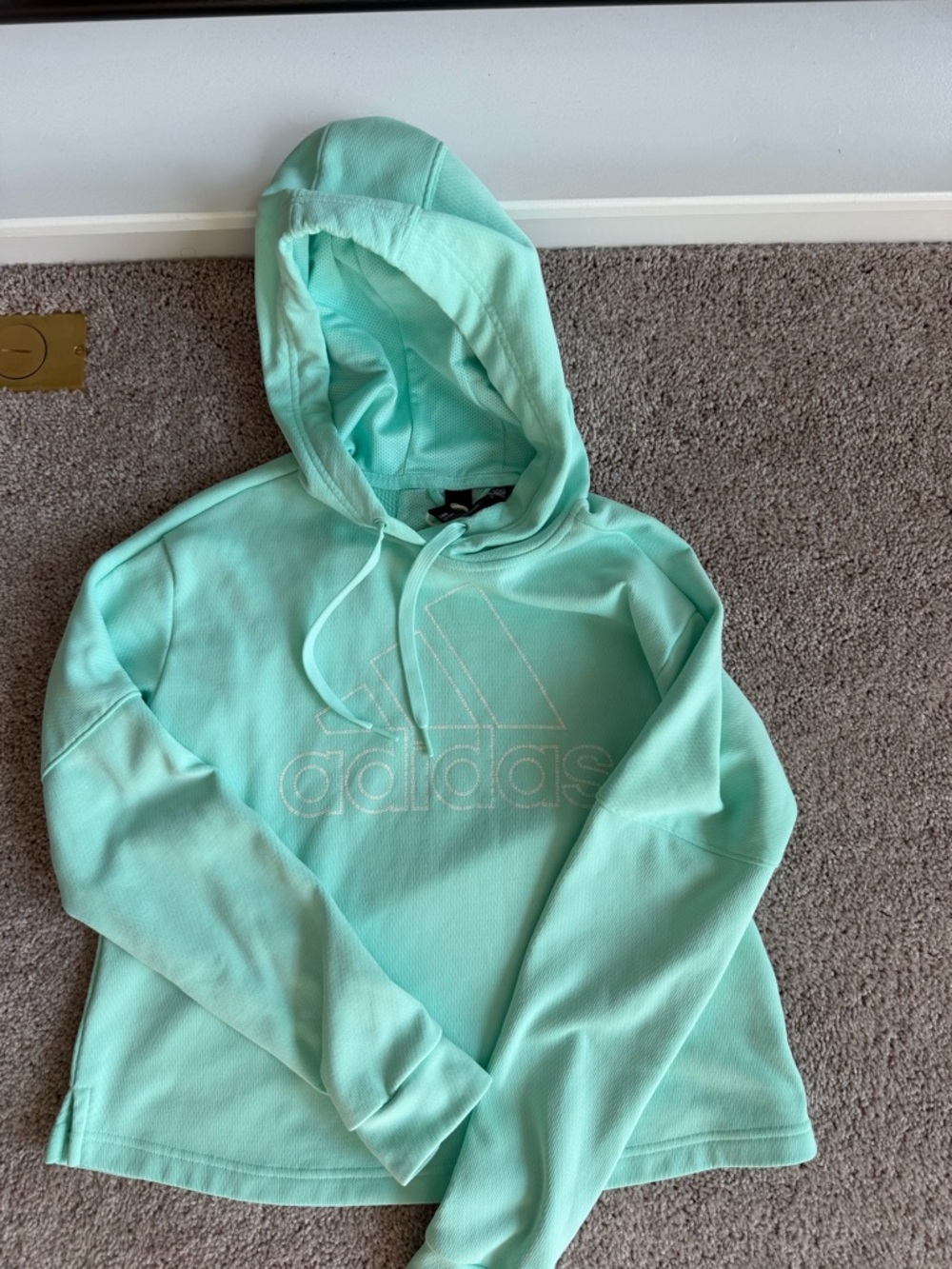 adidas Women's Mint Aqua Embroidered Logo Hoodie